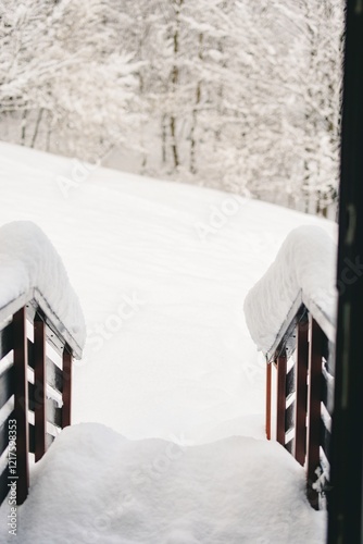 Steps blanketed in soft snow invite exploration into the tranquil winter world of Plaiul Foii. The landscape is adorned in pristine white, creating a peaceful atmosphere photo