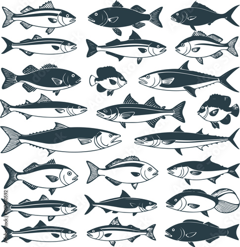 fish illustrated in a flat, line art style. The fish should be diverse in shape and size, showcasing unique characteristics such as fins, scales, and facial features.eps