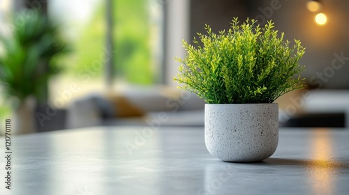 Green potted plant positioned on a marble kitchen counter bathed in natural l...