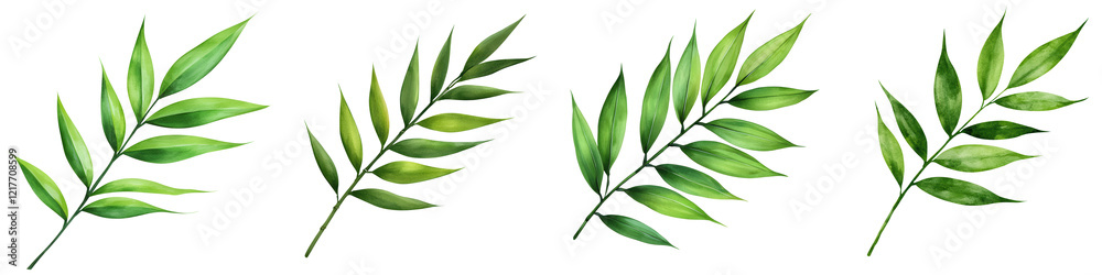 Fototapeta premium Watercolor of a Single Bamboo Leaf