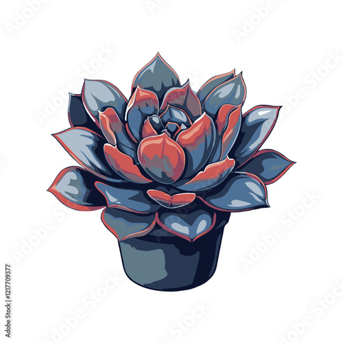 Colorful succulent plant Echeveria in a pot on white background.