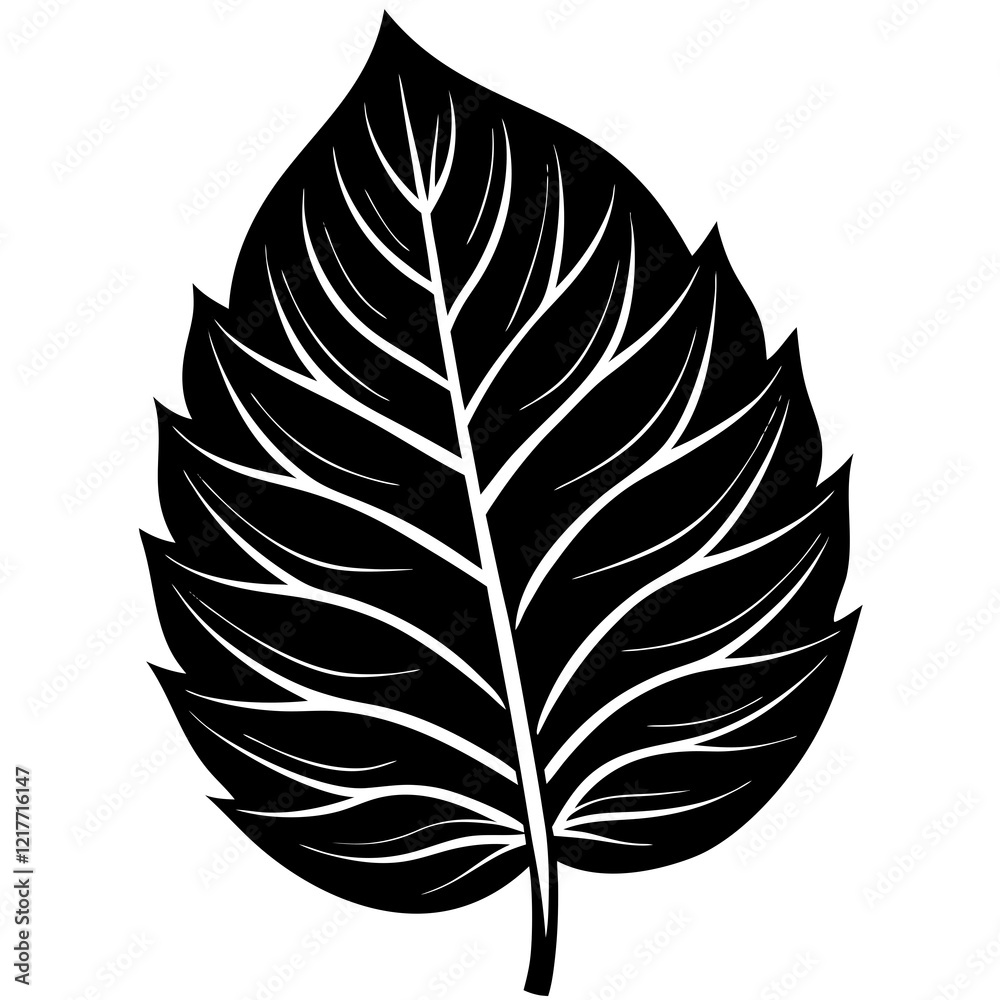Fototapeta premium Leaf black silhouette vector, Simple silhouette Design vector icon with white background. Nature Vector. 
