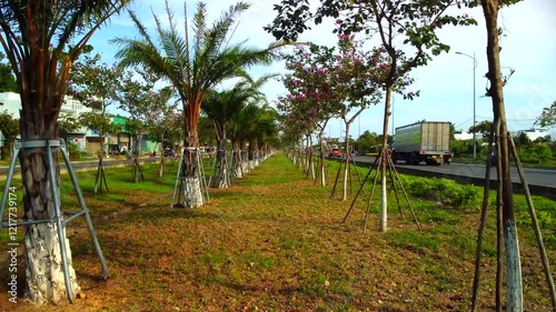 Suburban highway.

A double freeway with a lawn and trees separating the lanes. The city of Nha Trang in Vietnam is visible in the distance. Aerial photography by drone.