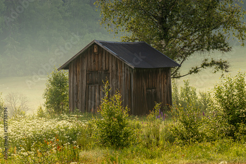 The cottage in Swidish countryside photo