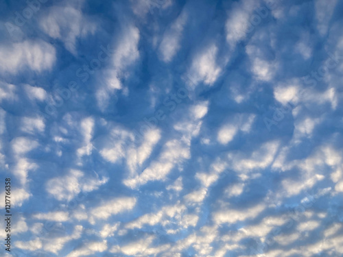 Image shows a sky filled with cumulus clouds, densely packed and forming a continuous layer Sky color varies from light to dark blue, suggesting it might be near sunrisesunset or atmospheric perspe photo