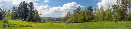 landscape near Velke Mezirici town, meadow and forest photo