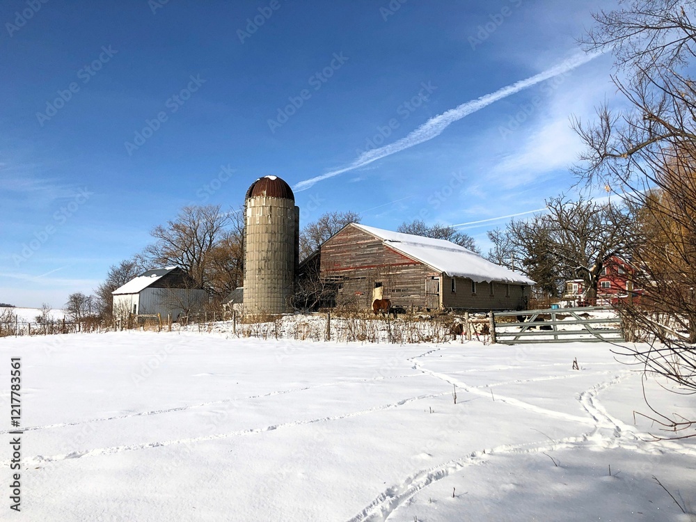 Gable barn sheltering cattle in the snow Gable barn sheltering cattle in the snow