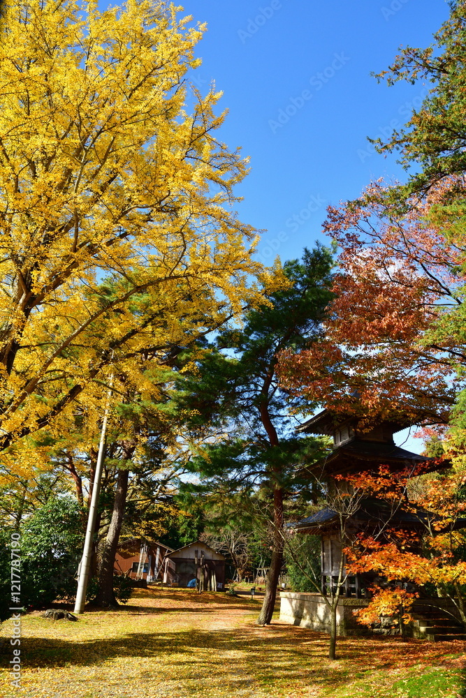 Naklejka premium 市島邸の紅葉（新潟県）