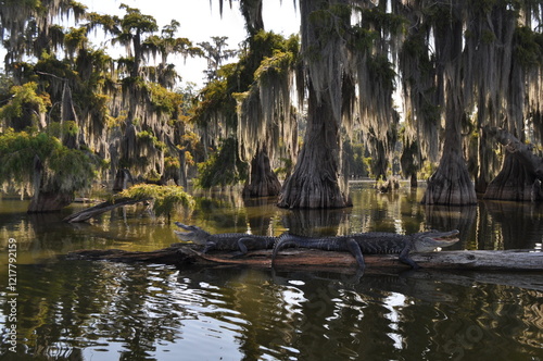 Bayou Lake Martin