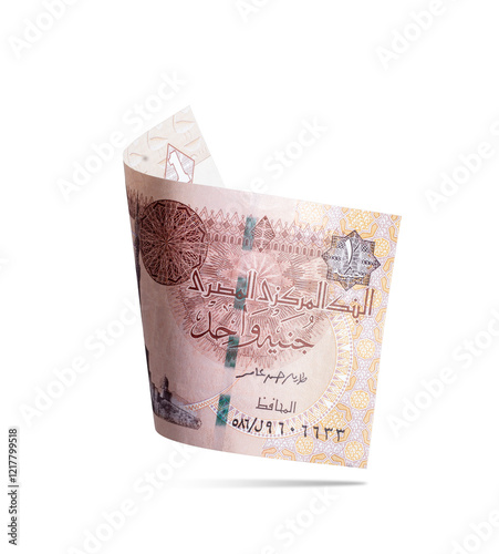 Egyptian Banknotes Flying on a White Background, 1 Pound, Financial and Economic Concept