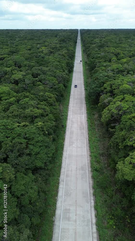 floresta nacional do araripe