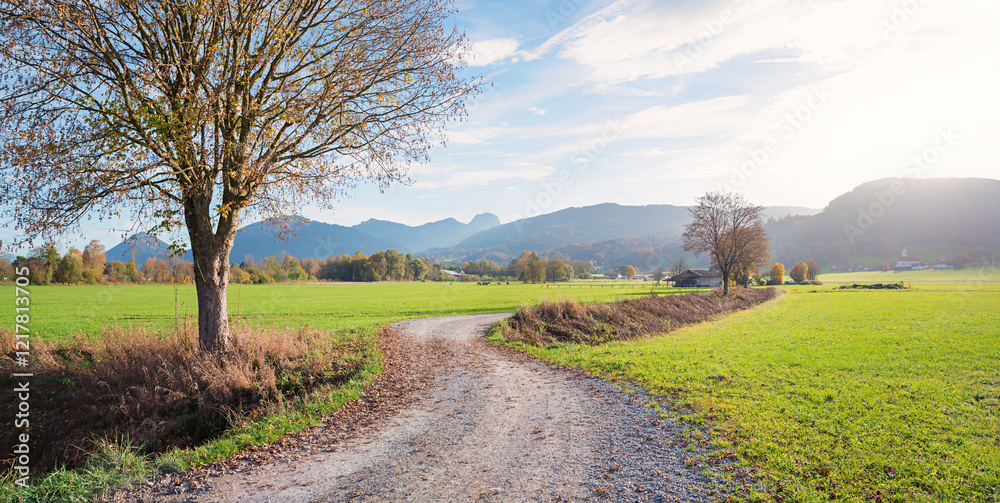 Obraz premium walkway around Bad Feilnbach, through green pasture, alps view and autumnal tree