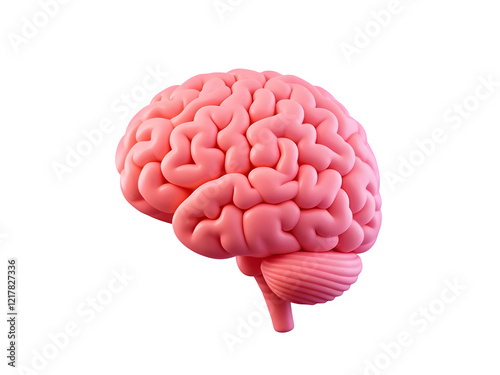 3D icon with blank white background,brain Minimalist cartoon design,organ,vector,design