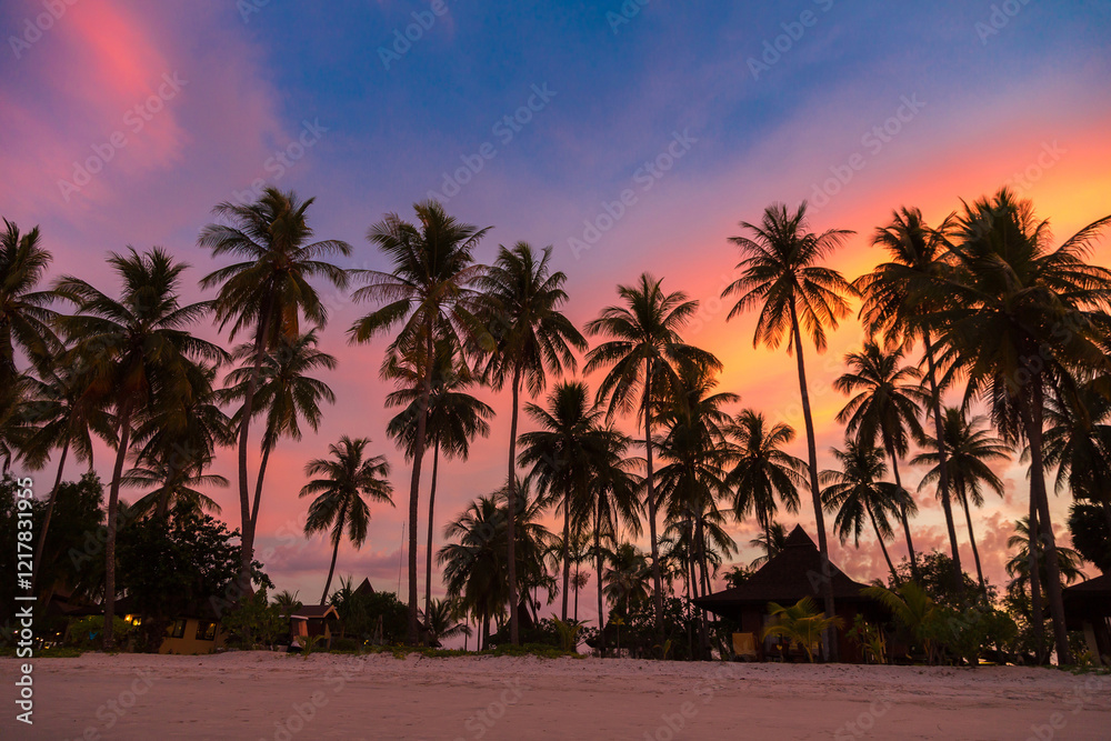 Obraz premium Silhouette palm at sunset