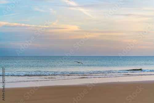 Fototapeta Naklejka Na Ścianę i Meble -  Quiet beach at dusk with a bird gliding above gentle waters.
