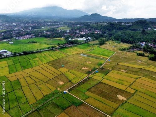 THE BEAUTY OF THE RICE FIELD LANDSCAPE ON THE EDGE OF RAWA PENING LAKE WHICH IS THE ROUTE OF THE AMBARAWA STATION STEAM TRAIN photo