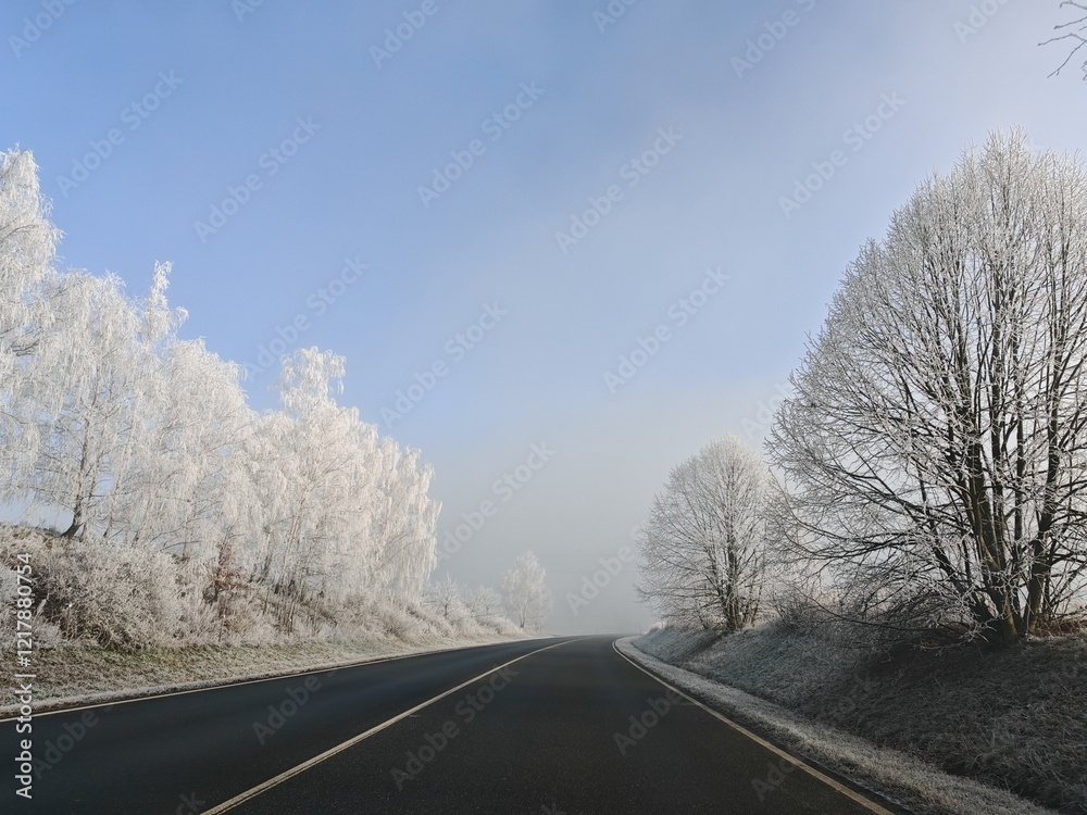 frost and snow covered trees along an empty speed road, winter time travelling concept during peaceful morning ride frost and snow covered trees along an empty speed road, winter time travelling concept during peaceful morning ride
