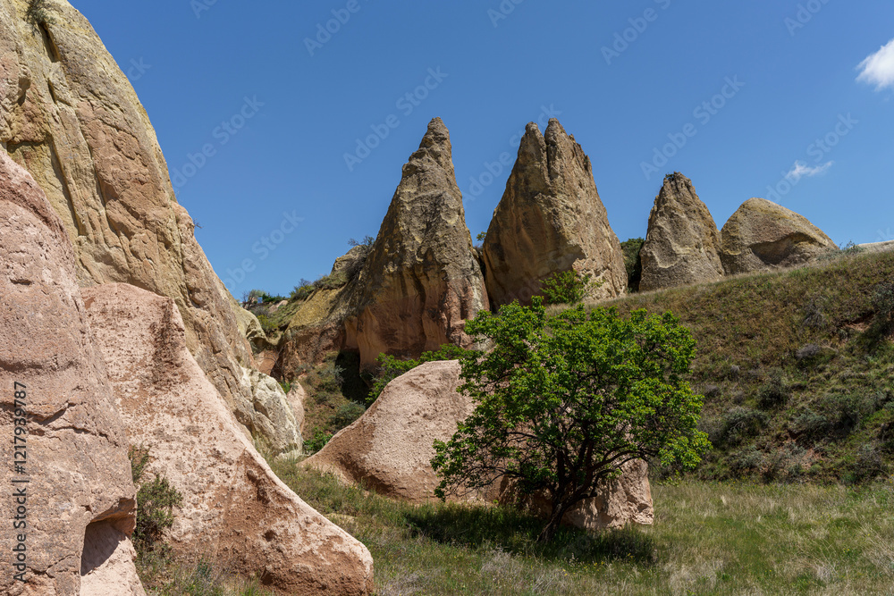 Fototapeta premium Turkey - Cappadocia - Red Valley