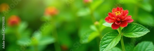 Garden plantain plant with bright green leaves and red flowers, botany, plant