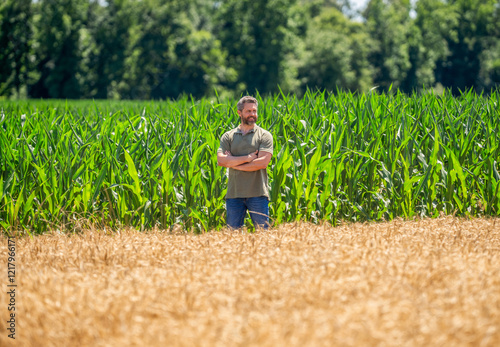 Agricultural cornfield harvest season. Countryside farming. Man harvesting at crop field. Harvest man at field. Faming and agriculture. Farmer excited man in cornfield. Harvest crop. Cornfield farmer photo