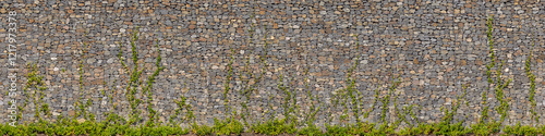 Background texture of modern gabion stone wall with ivy climbers