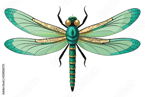 Insect realistic dragonfly isolated on white background vector illustration.