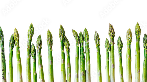 Asparagus on transparent background 