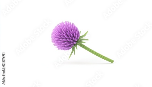 A vibrant purple flower leaning gracefully against a white background, showcasing its intricate petals