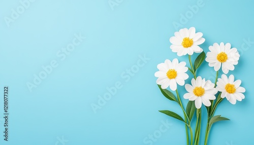 A vibrant bouquet of white daisies against a soft blue background, perfect for spring themes