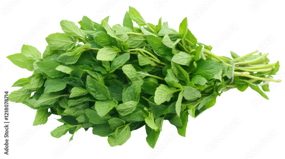 Obraz premium Spinach on transparent background