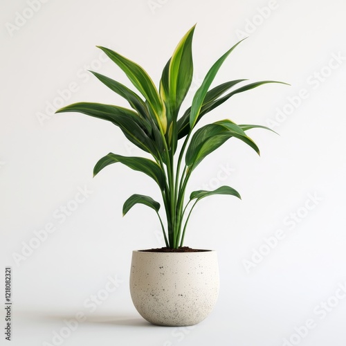 Dracaena fragrans 'Massangeana' in a Speckled Pot