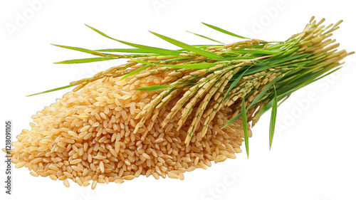 Brown rice grains with stalks on black background photo