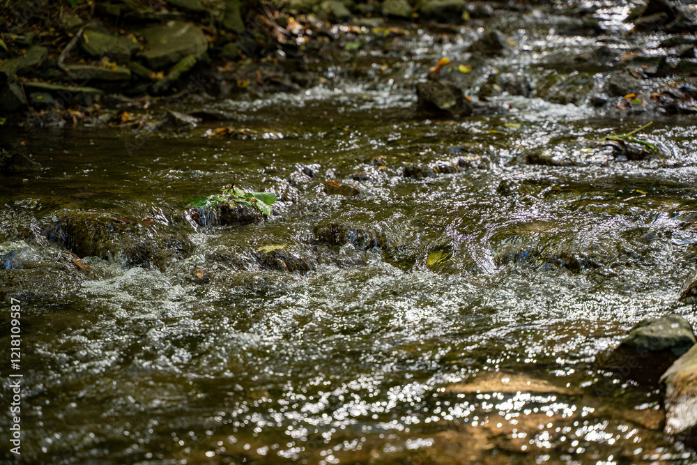 Close up view of water in a stream. Close up view of water in a stream.