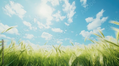 Wheat ears swaying gently in the wind on a sunny day, with a vast field stretching out under a clear blue sky, symbolizing the serenity of rural landscapes