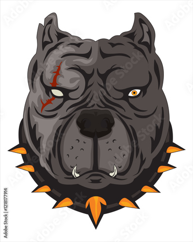 Bad bit bull dog angry face logo mascot