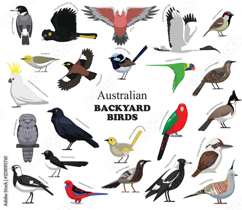 Australian Backyard Birds Set Vector Collection