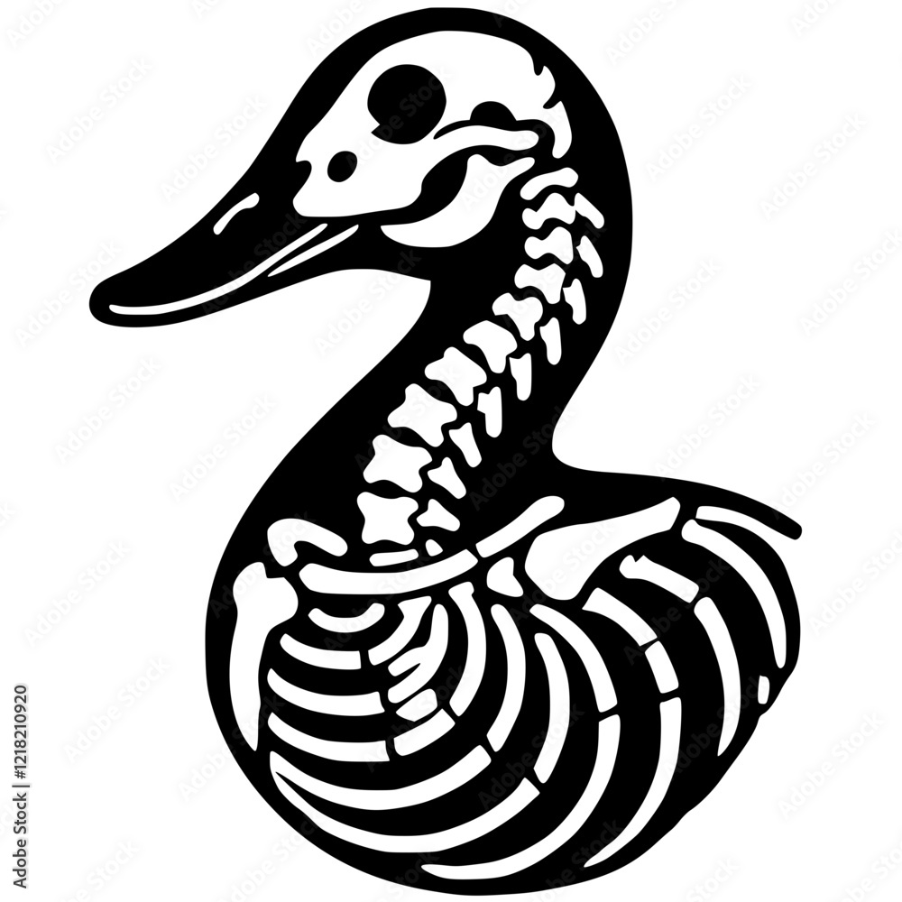 Naklejka premium Silhouette portrait of duck skeleton