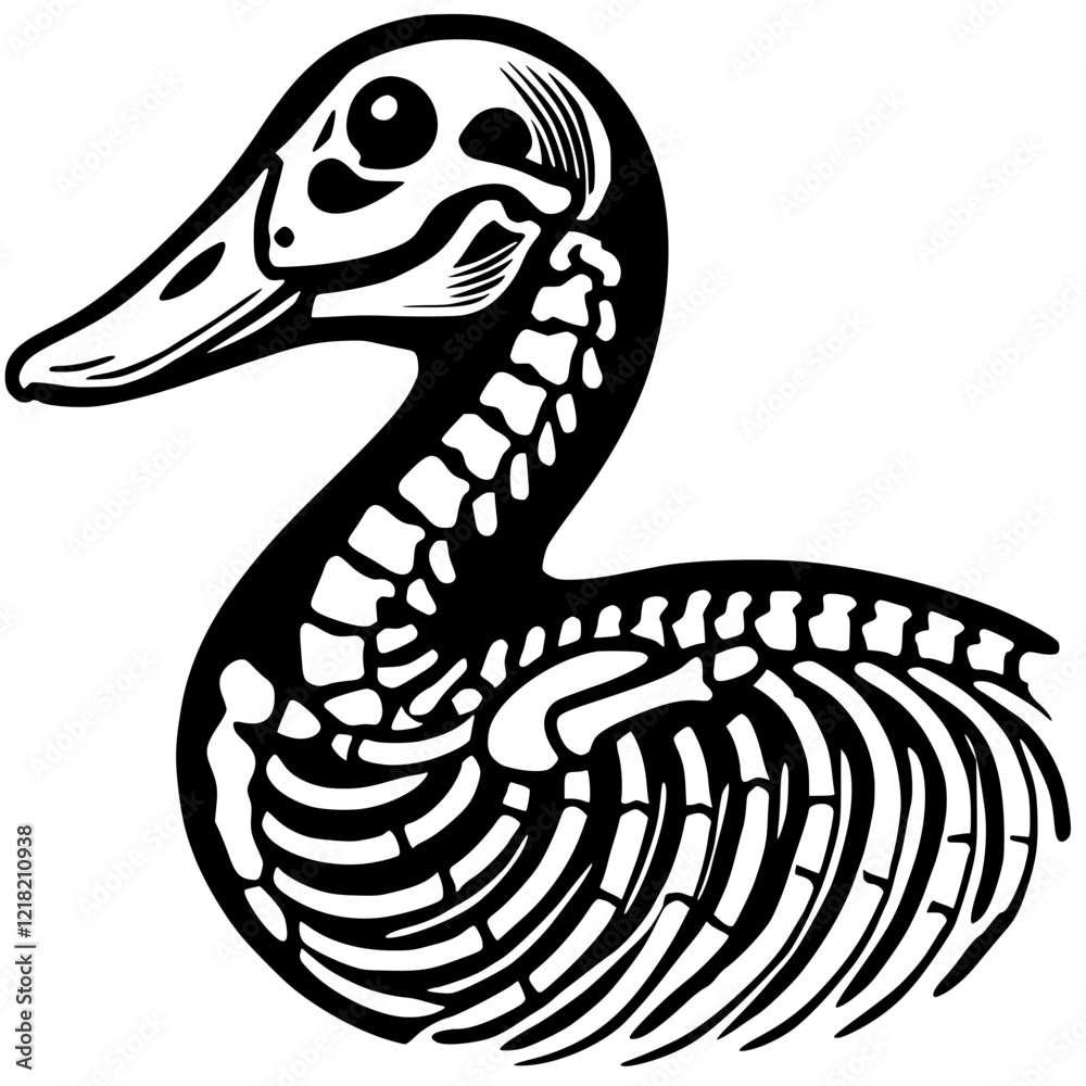 Fototapeta premium Silhouette portrait of duck skeleton