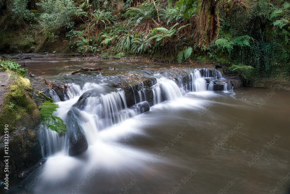 Obraz premium Waterfall tanquility in the bush