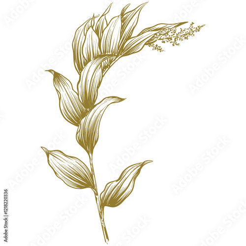 Botanic set of detailed various flowers and brunch. Luxury vintage floral collection for wedding invitation, wallpaper art or save the date card. Botanical vector illustration
