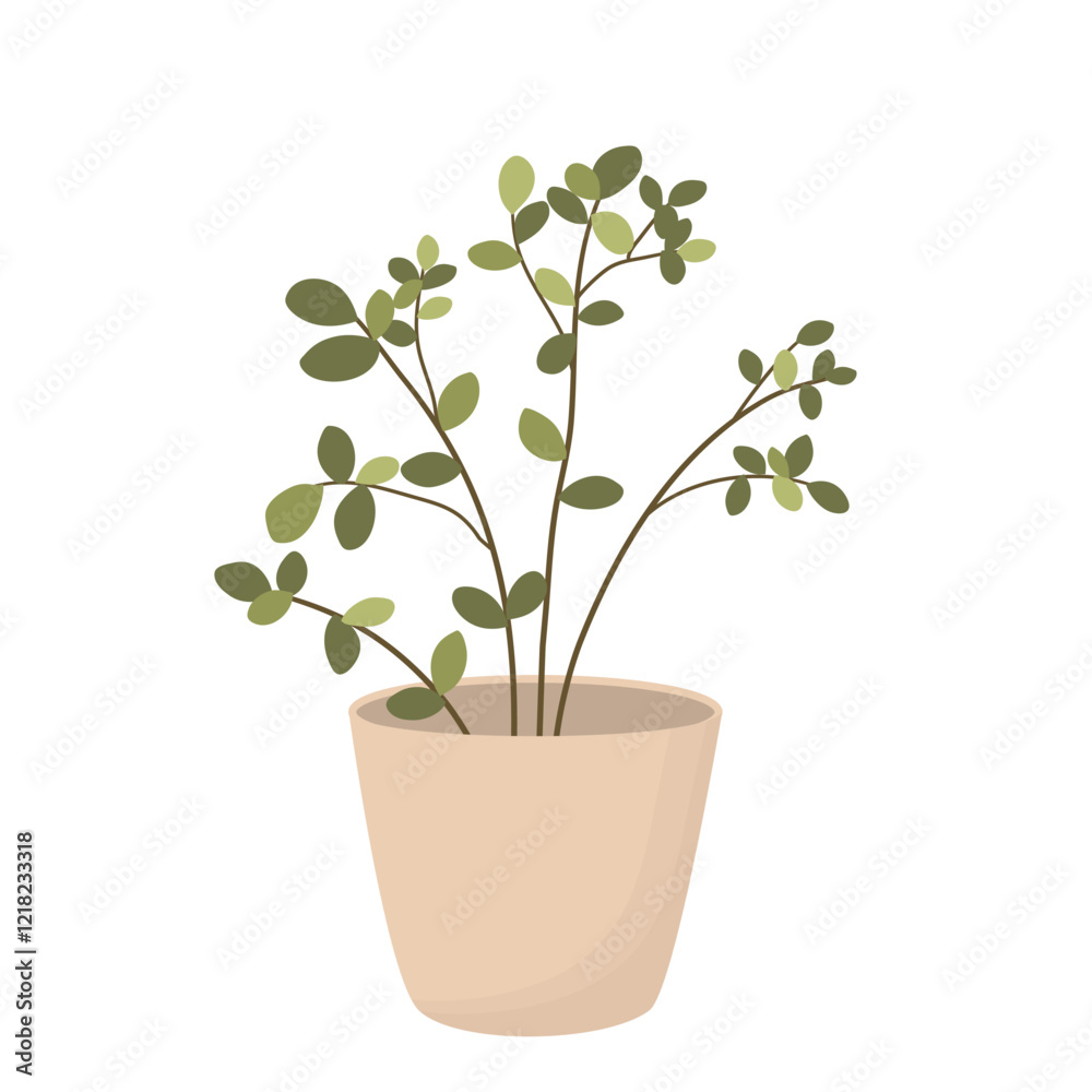 Fototapeta premium Home Plants for Decoration. House Plants Illustration