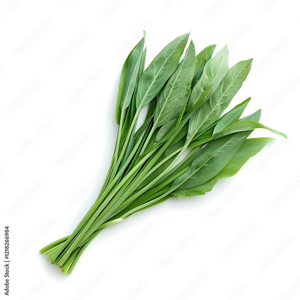 Chinese chive leaves on white background Chinese chive leaves on white background