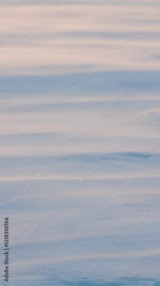 A strong wind blows snow across the snow cover. Close-up of flying snow on a snowy surface. Winter. A snowstorm. A strong wind blows snow across the snow cover. Close-up of flying snow on a snowy surface. Winter. A snowstorm.