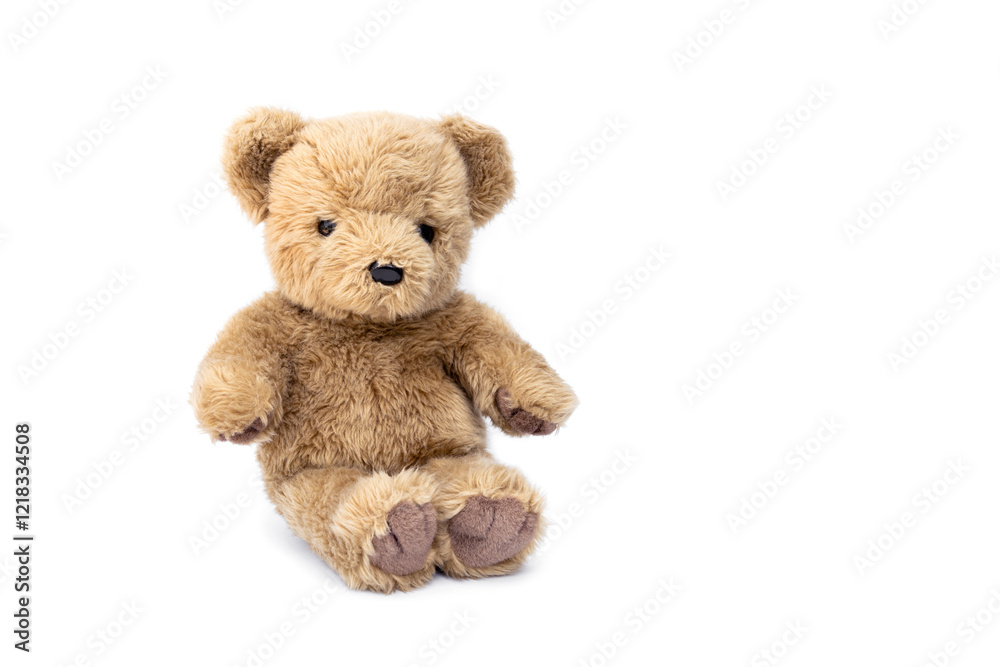 Obraz premium Stuffed animals. Old cute sitting brown teddy bear isolated on white background and copy space.