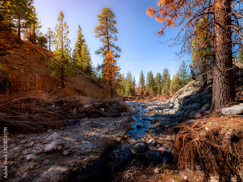 A small stream in the forest during autumn  photo