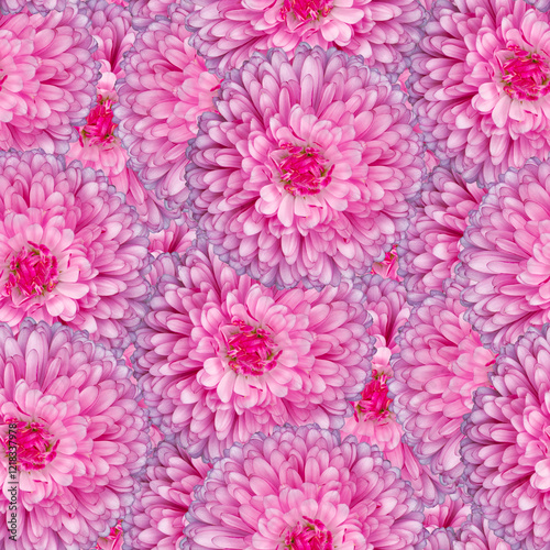 Seamless pattern of pink Aster flowers, close-up view, soft and delicate floral design, copy space