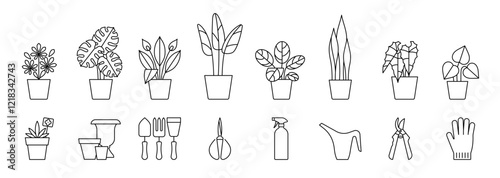 Houseplants, icon set. Indoor potter plants - Peace lily, Monstera, Banana tree, Calathea, Alocasia end others. Planting tools. Linear illustration, editable stroke