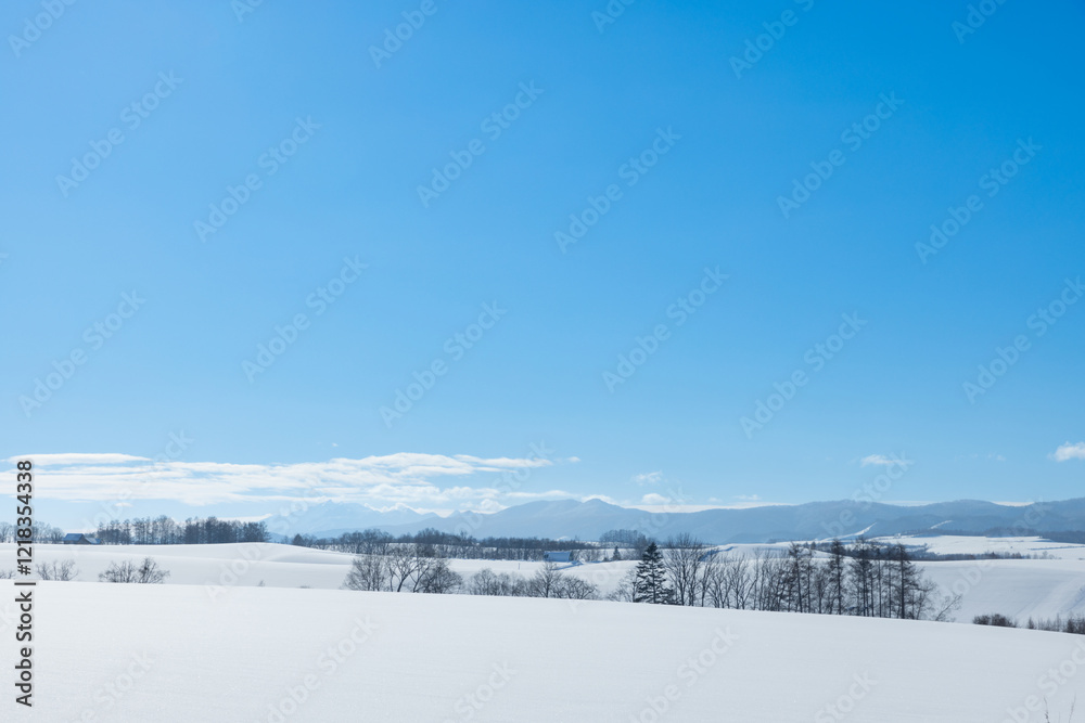 Obraz premium 北海道冬の美瑛の風景14