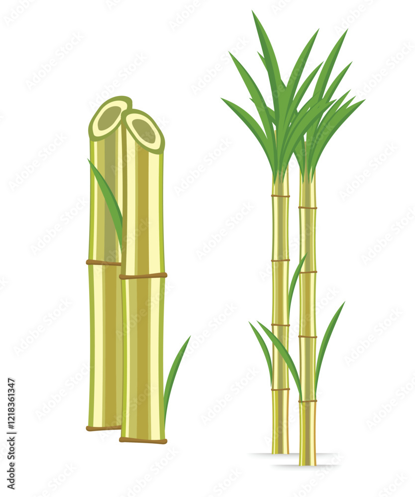 Sugarcane vector illustration stock illustration Sugarcane vector illustration stock illustration
