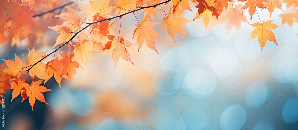 Blurry autumn background featuring vibrant orange and yellow maple leaves positioned on the left against a soft blue and cream bokeh backdrop Blurry autumn background featuring vibrant orange and yellow maple leaves positioned on the left against a soft blue and cream bokeh backdrop